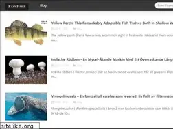 Sites similar to foxfirerestaurant.com