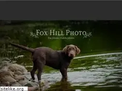 Sites similar to foxhillphoto.com