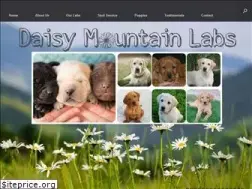 Sites similar to foxredlabradorretrieverpuppies.com