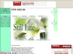Sites similar to foxstilllife.tripod.com
