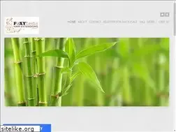 Sites similar to foxylockshairextensionsaustralia.com