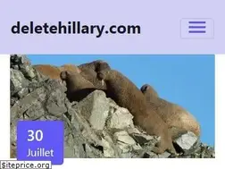 Sites similar to fr.deletehillary.com