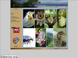 Sites similar to fradnai.free.fr