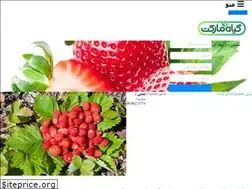 Sites similar to fragole.ir
