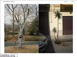 Sites similar to francesca-ferrari.com
