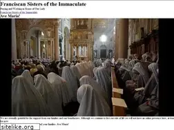 Sites similar to franciscansoftheimmaculate.com
