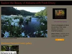 Sites similar to frankemory.com