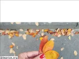 Sites similar to frankfurtdubistsowunderbar.de