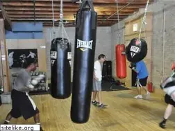 Sites similar to franklinstreetboxing.com