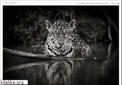 Sites similar to frankmulliez.com