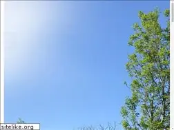 Sites similar to fraxinusbf.be