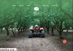 Sites similar to freddyguys.com