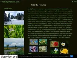 Sites similar to freebigpictures.com