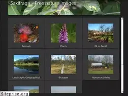 Sites similar to freenatureimages.eu