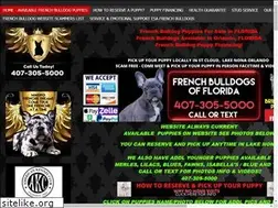 Sites similar to frenchbulldogsofflorida.com