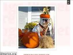 Sites similar to frenchbulldogsplanet.com