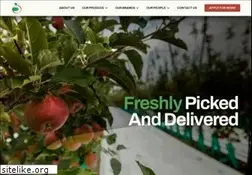 Sites similar to freshco.co.nz
