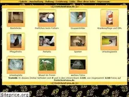 Sites similar to frettchenfotos.de