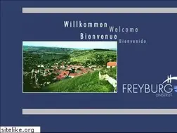 Sites similar to freyburg-info.de
