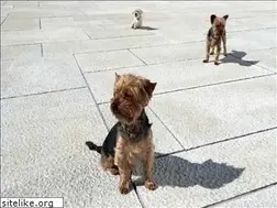 Sites similar to friendsarchitects.com