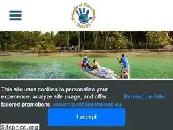 Sites similar to friendsofileavachehaiti.com