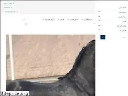 Sites similar to friesianhorse.ir