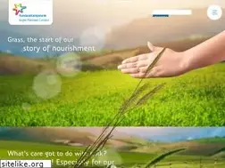 Sites similar to frieslandcampina.com.pk