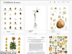 Sites similar to fritillariaicones.com