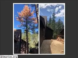 Sites similar to frmtreeservices.com