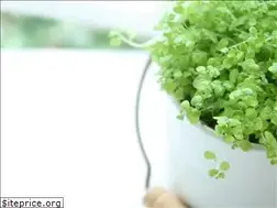 Sites similar to frontier-inc.jp