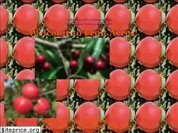 Sites similar to fruitacresfarm.com