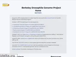 Sites similar to fruitfly.org