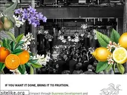 Sites similar to fruitionmultimedia.com