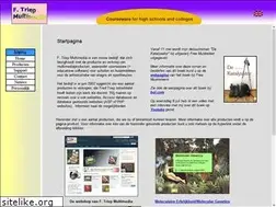 Sites similar to ftriepmultimedia.nl