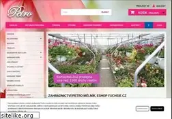 Sites similar to fuchsie.cz