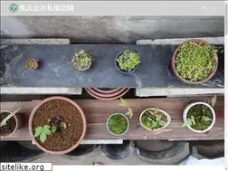Sites similar to fudaba-lsc.co.jp