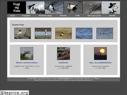 Sites similar to fugl-og-foto.dk