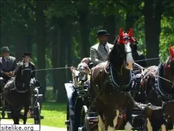 Sites similar to fuhrhalterei-doering.de