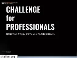 Sites similar to fujiglove.co.jp