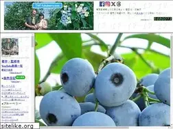 Sites similar to fukuberry.com