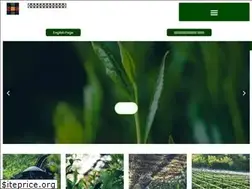 Sites similar to fukuoka-yamecha.jp