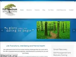 Sites similar to fullspectrumrecovery.com