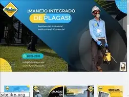 Sites similar to fulminex.com