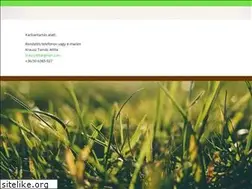 Sites similar to fumag.hu