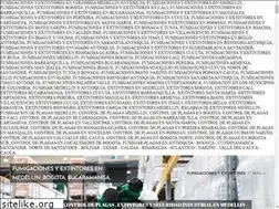 Sites similar to fumigacionesyextintores.com.co