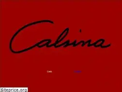 Sites similar to fundaciocalsina.org