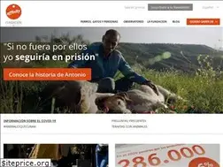 Sites similar to fundacion-affinity.org