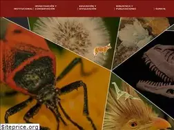 Sites similar to fundacionazara.org.ar