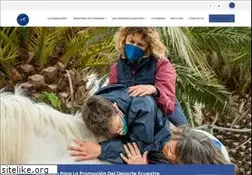 Sites similar to fundacionecuestre.org