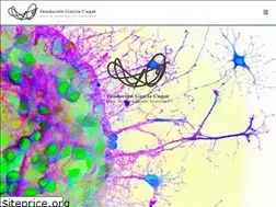 Sites similar to fundaciongarciacugat.org